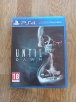 Until Dawn PS4 / PS5