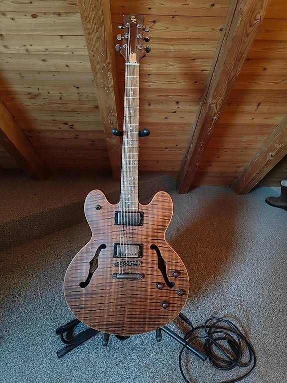 Musikinstrumente: BR Semi-Hollow E-Gitarre – Gebraucht aus Oberdiessbach von Stefan_Schuepbach