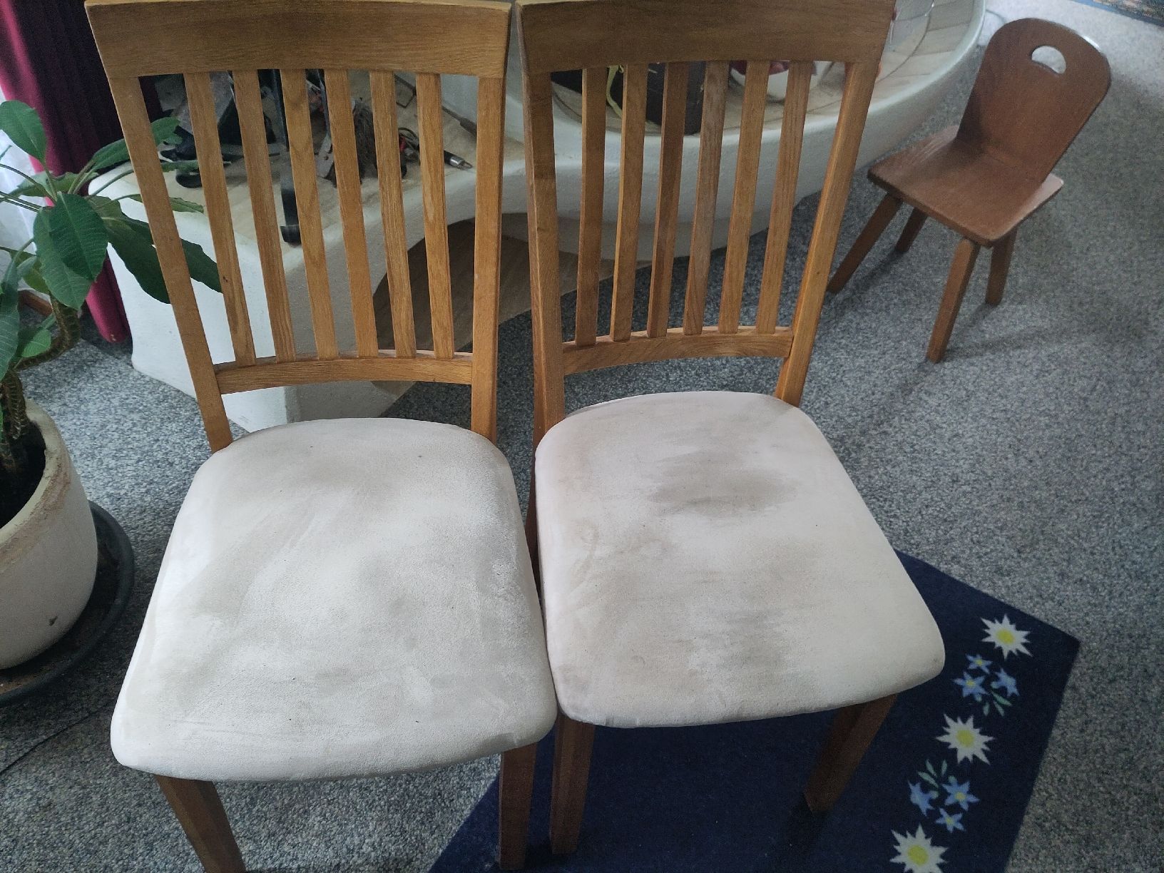 Set di tavolo e panche: Holztisch inkl. Stühle – Usato da Hallwil venduto da ste_7q22 5