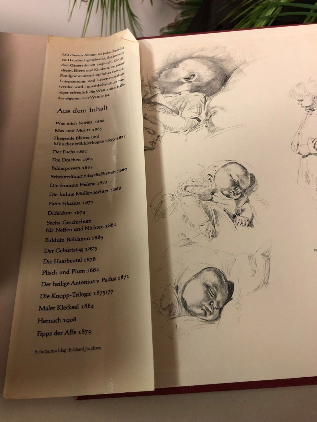 Bücher: Buch Wilhelm Busch ! Geschichtenbuch ! – Gebraucht aus Brügg BE von rutschimedizin 2