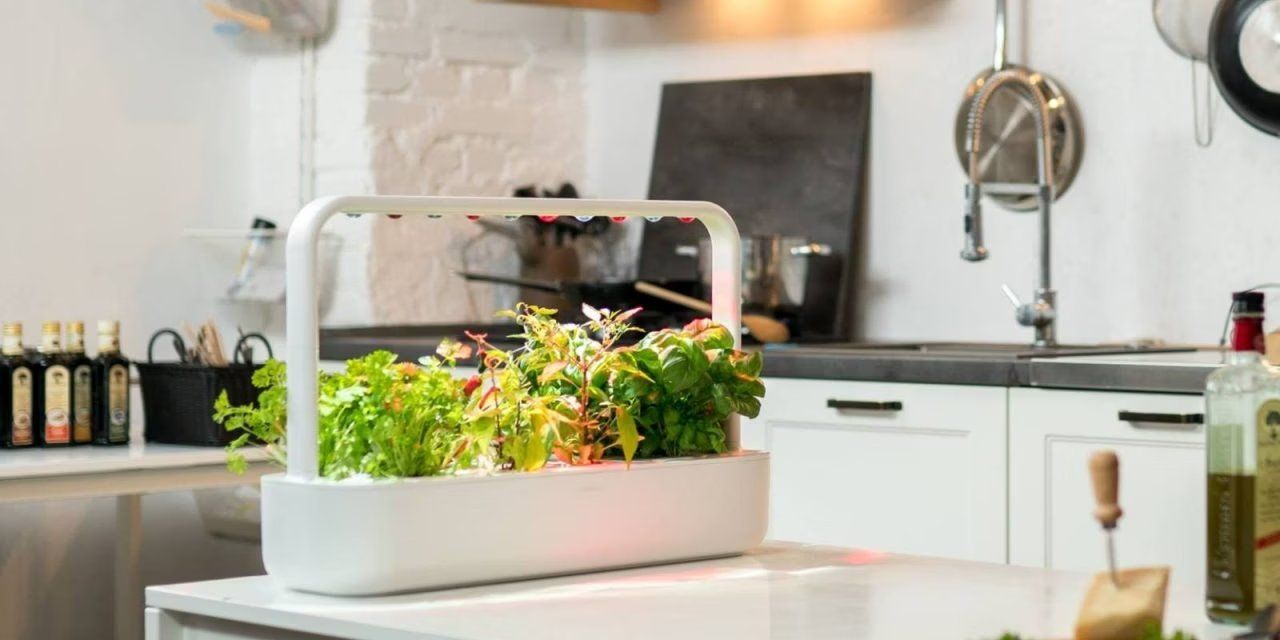 Altro: automatic Smart garden 9 click and grow – Usato da Zürich venduto da cel_k6gj 1