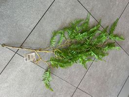 dekorativer Farnzweig - NEU