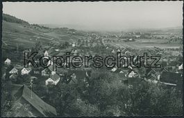 ZH Weiningen