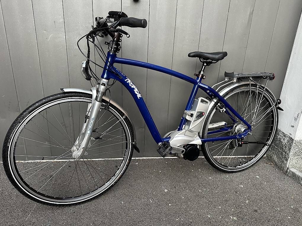 Velos: E-bike da uomo Flyer Tropical 28 – Gebraucht aus Quartino von DiloUsato 1