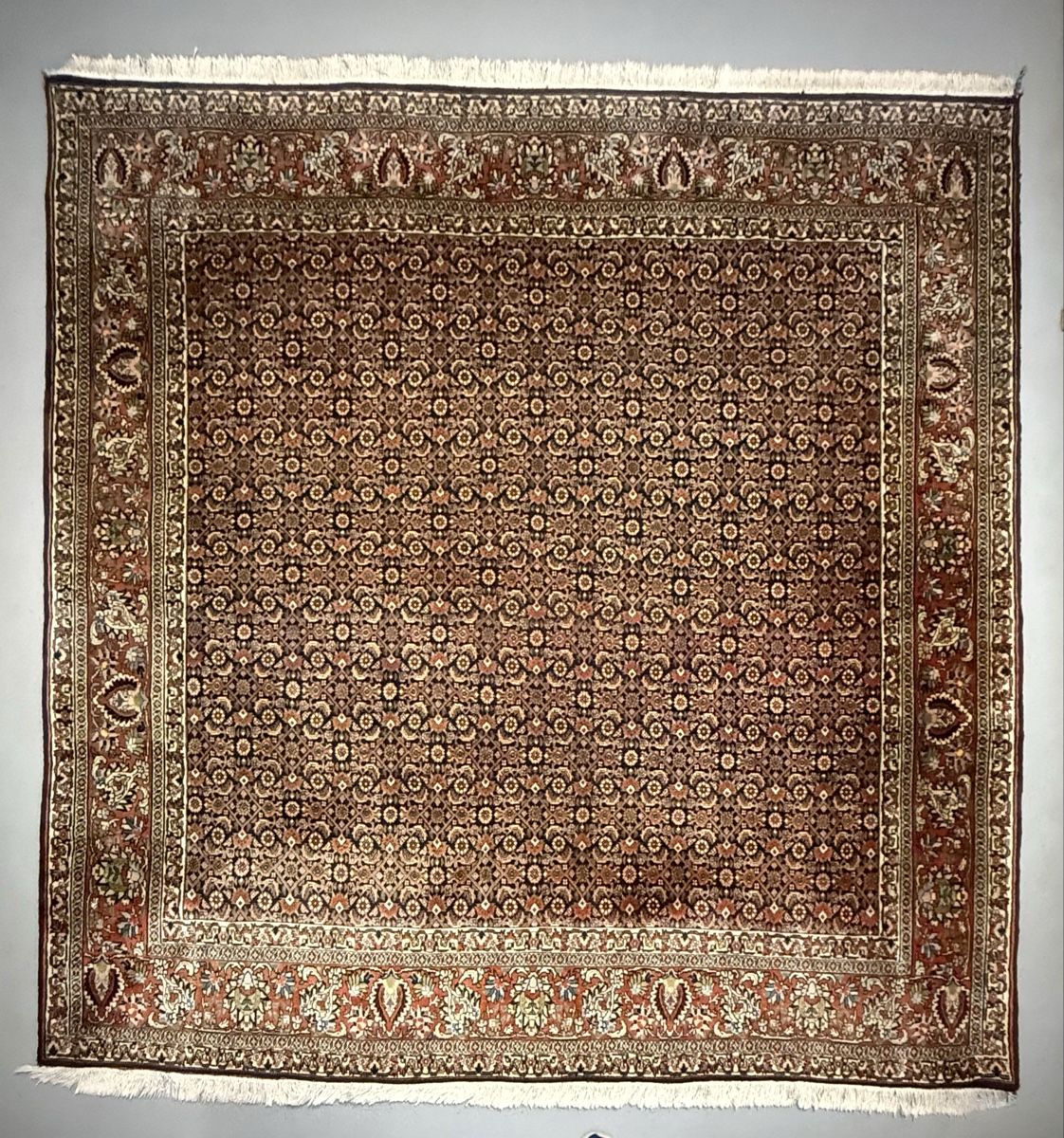 Bidjar Teppiche: Wunderschöner Perserteppich 208x204.cm – Gebraucht aus Sempach von Star7 9