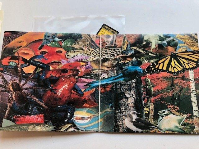 Dischi in vinile: Soundgarden – Usato da Aarwangen venduto da Jukebox3 5