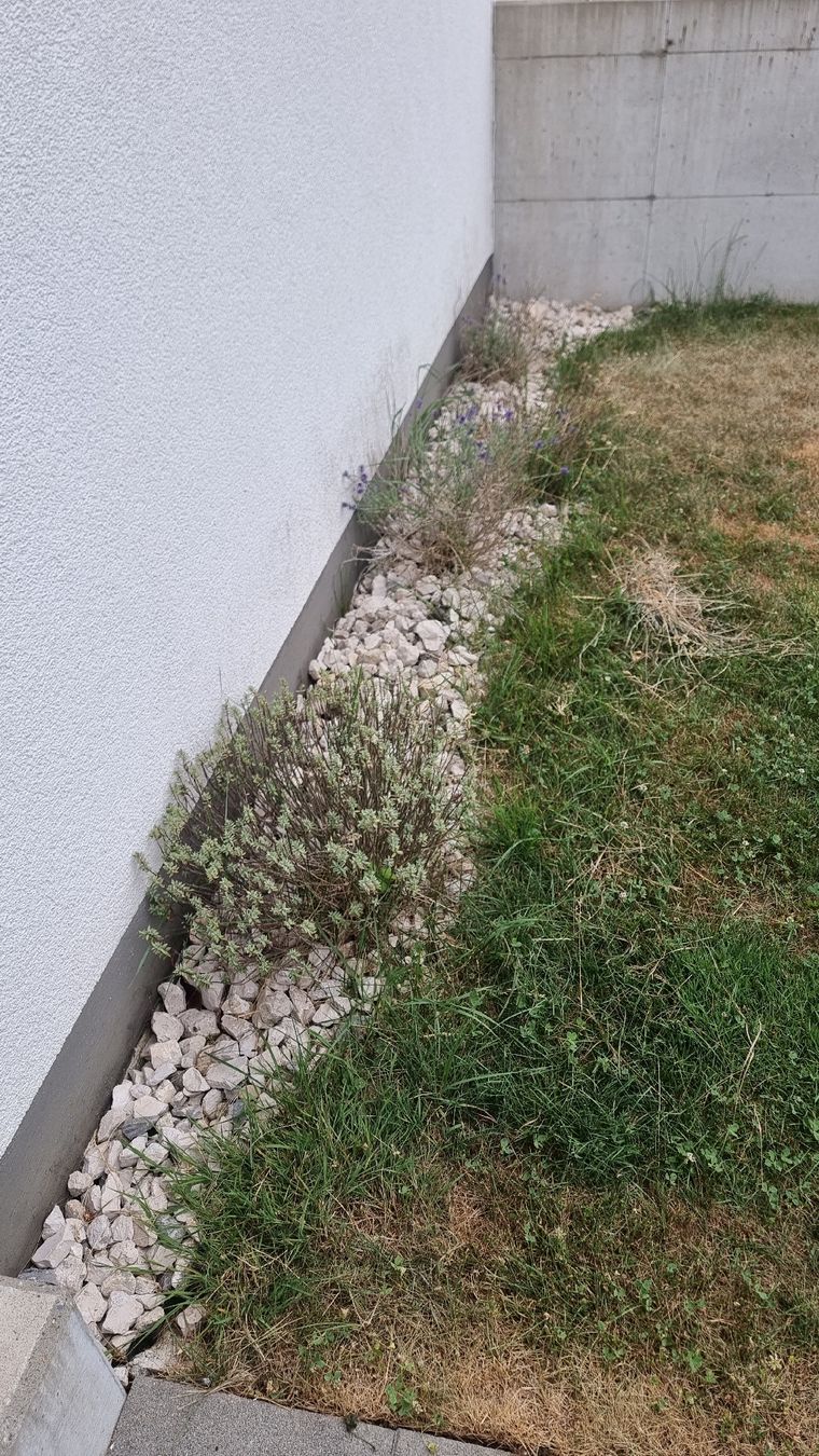 Altro per Ufficio & Commercio: Entretien et travaux de jardinage  – Nuovo e nell'imballaggio originale da Sonceboz-Sombeval venduto da Hornigold 1