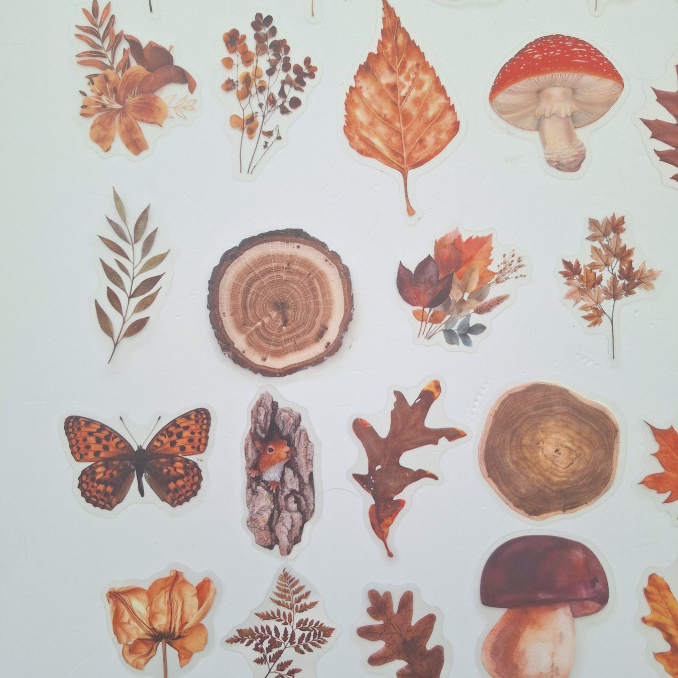Sticker: 50 Aufkleber Sticker - Herbst – Nuovo e nell'imballaggio originale da Basel venduto da Kunterbunt12 4
