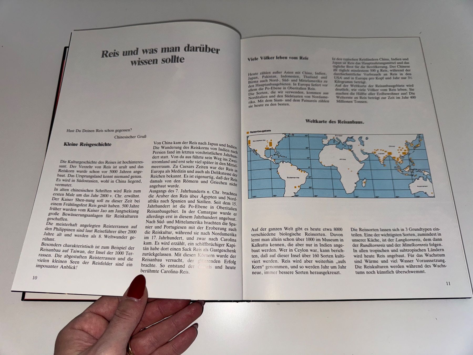 Libri: KOCHBUCH: Rund um den Reis – Usato da Grosswangen venduto da Second_hand_paradise 2
