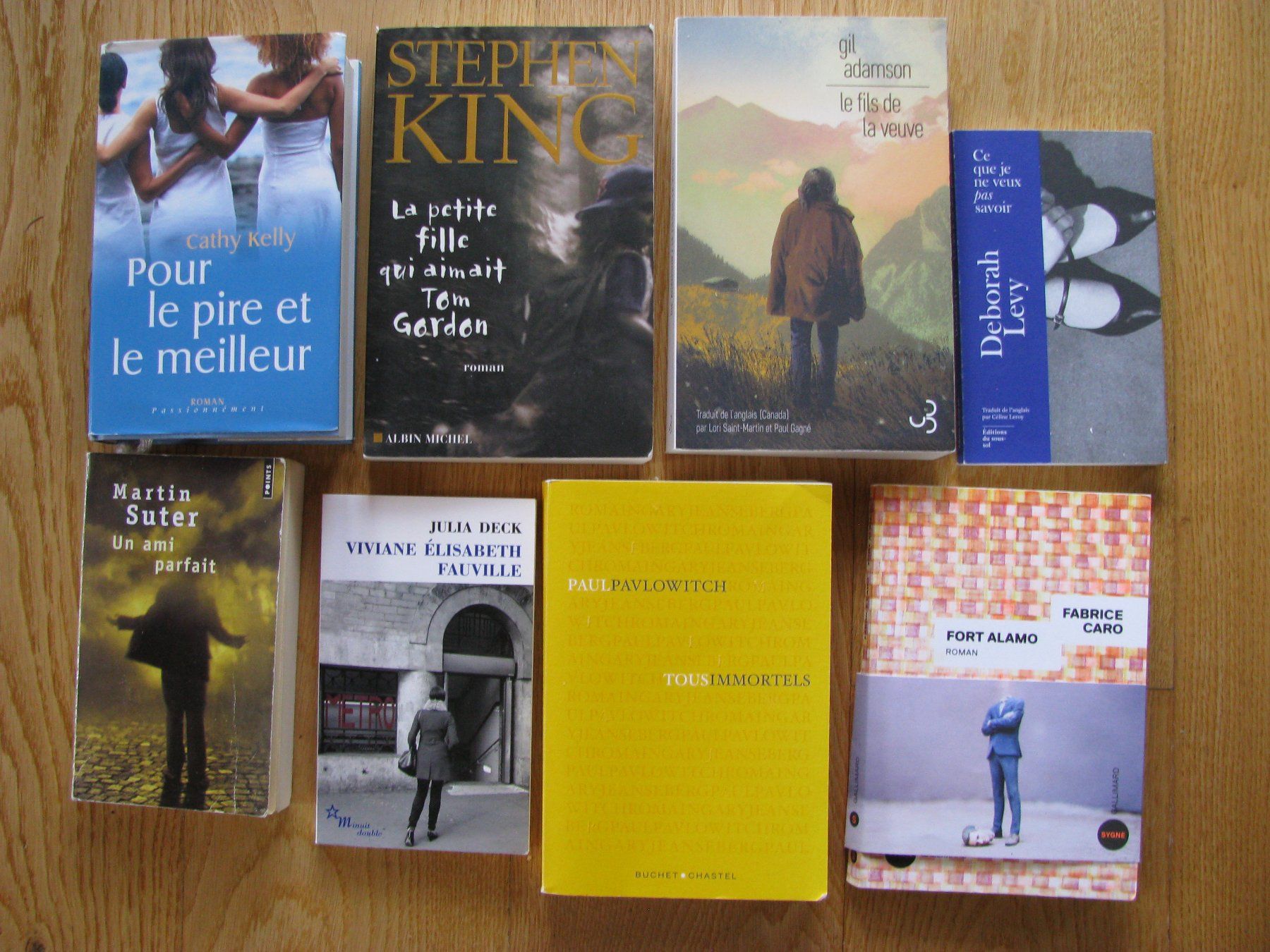 Libri: Lot de 8 romans : S.King, J.Deck, Pavlowitch, etc.... – Usato da Zweisimmen venduto da Domii 1