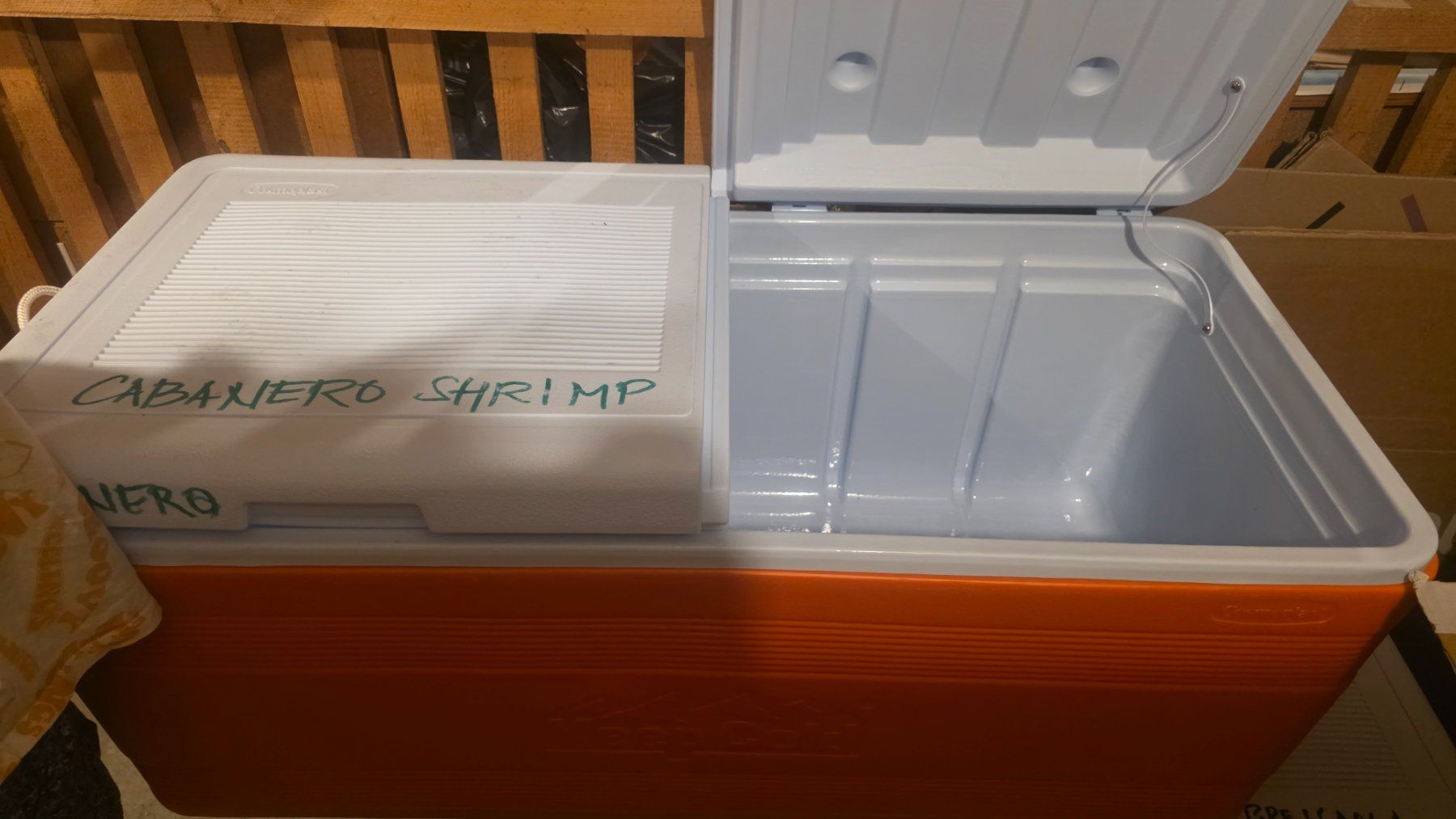 Frigoriferi & Refrigeratori: Kühlbox – Usato da Hitzkirch venduto da mal_9wls 1