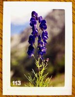 Migros Nature Detectives - Bild Nr. 113