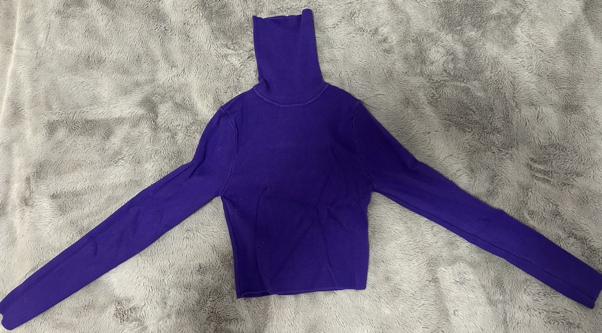Zara Top: Zara Rollkragenpulli-Crop Top – Nuovo (secondo la descrizione) da Egerkingen venduto da thelifeofpablo