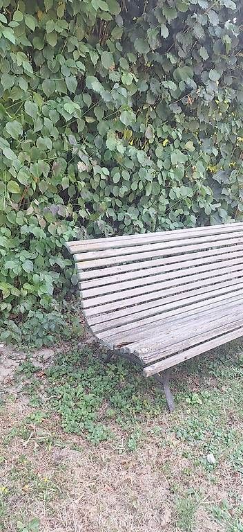 Bänke: Gartenbank – Gebraucht aus Madiswil von Oleander2 2