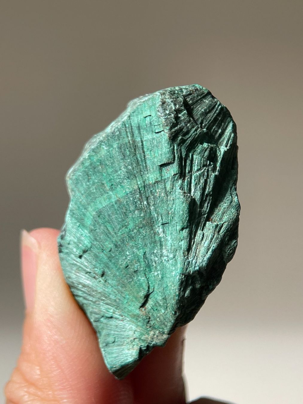 Minerali & Pietre curative: Samtmalachit | Mineralien Stufe – Nuovo (secondo la descrizione) da Schiers venduto da sisikristall