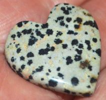 Cabochon L-7330 – Dalmatiner Jaspis Herz 20,5x26,5mm 29.25 K