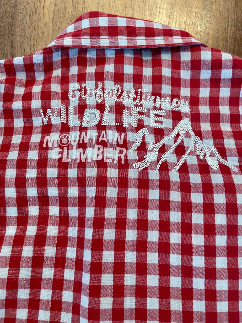 Camicie, T-shirt & Polo: Rot-weiss kariertes Hemd, Bondi, Grösse 86 – Usato da Haslen AI venduto da s176 4