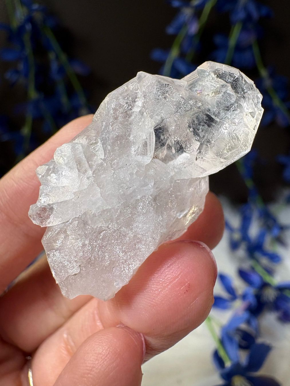 Minerali & Pietre curative: Lemurian-Quarz-Cluster – Nuovo (secondo la descrizione) da Neuheim venduto da m.hald 3