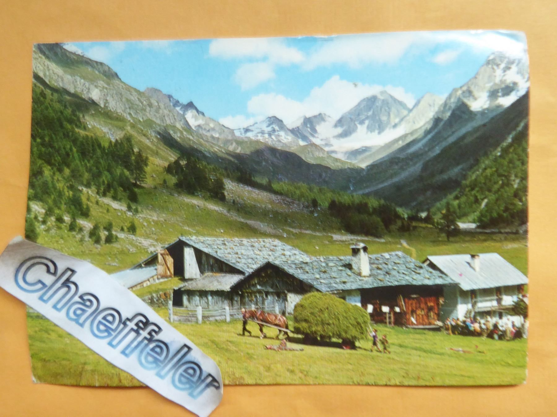 Cartes postales: Eishof - Alm – D'occasion à Zürich par Chaeffeler