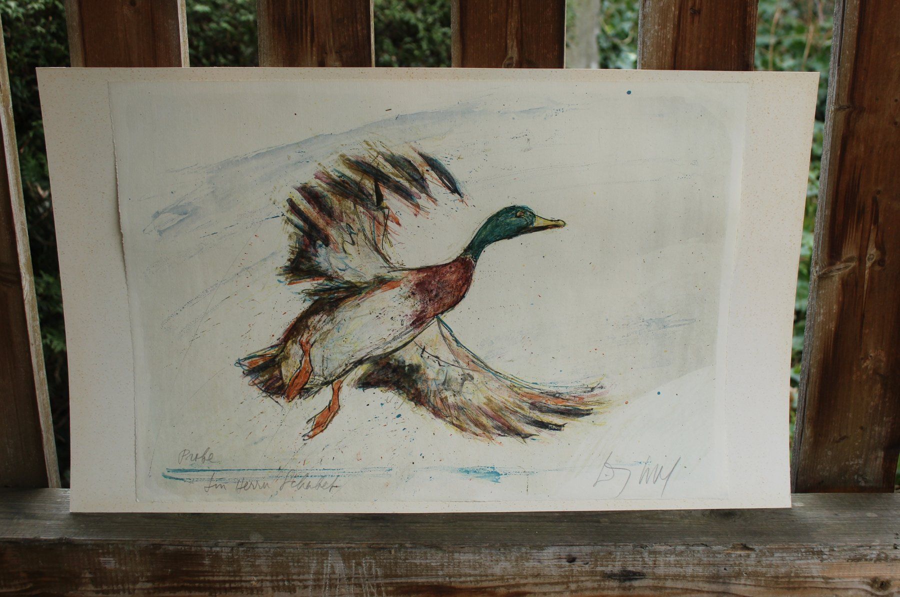 Grafica & Litografie: Fritz Hug Original Litho Ente Probe Widmung Handsigniert – Usato da Zürich venduto da Auctionata