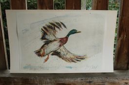 Fritz Hug Original Litho Ente Probe Widmung Handsigniert