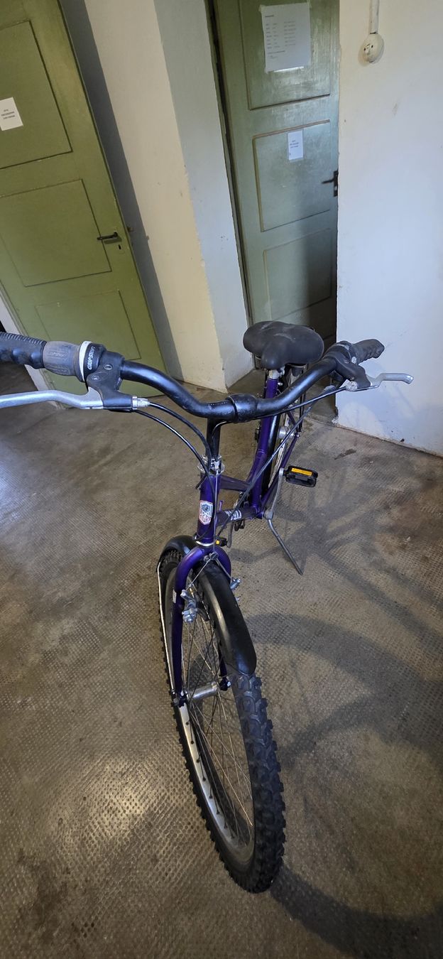Biciclette: Damen City Velo – Usato da Solothurn venduto da mar_8qf8 3