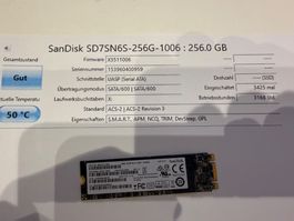 SanDisk 256GB  SSD