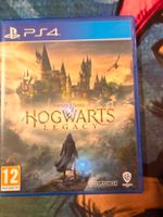 Hogwarts Legacy Sony Playstation 4