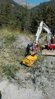 Mulcher für  Bagger 1.3 T bis 5 T