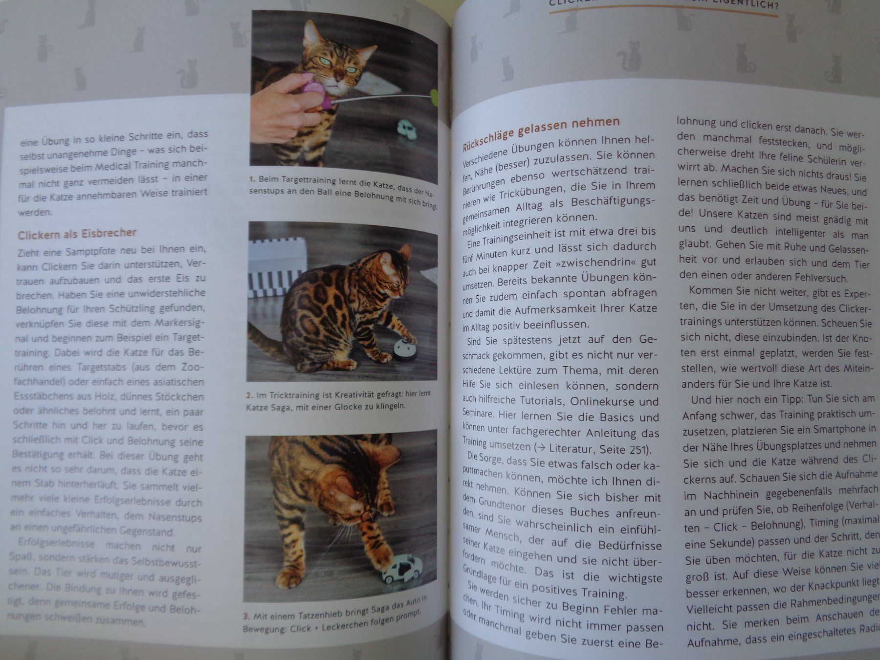 Libri: Wie wir Katzen glücklich machen - Carmen Schell – Usato da Chur venduto da Oregano1 7