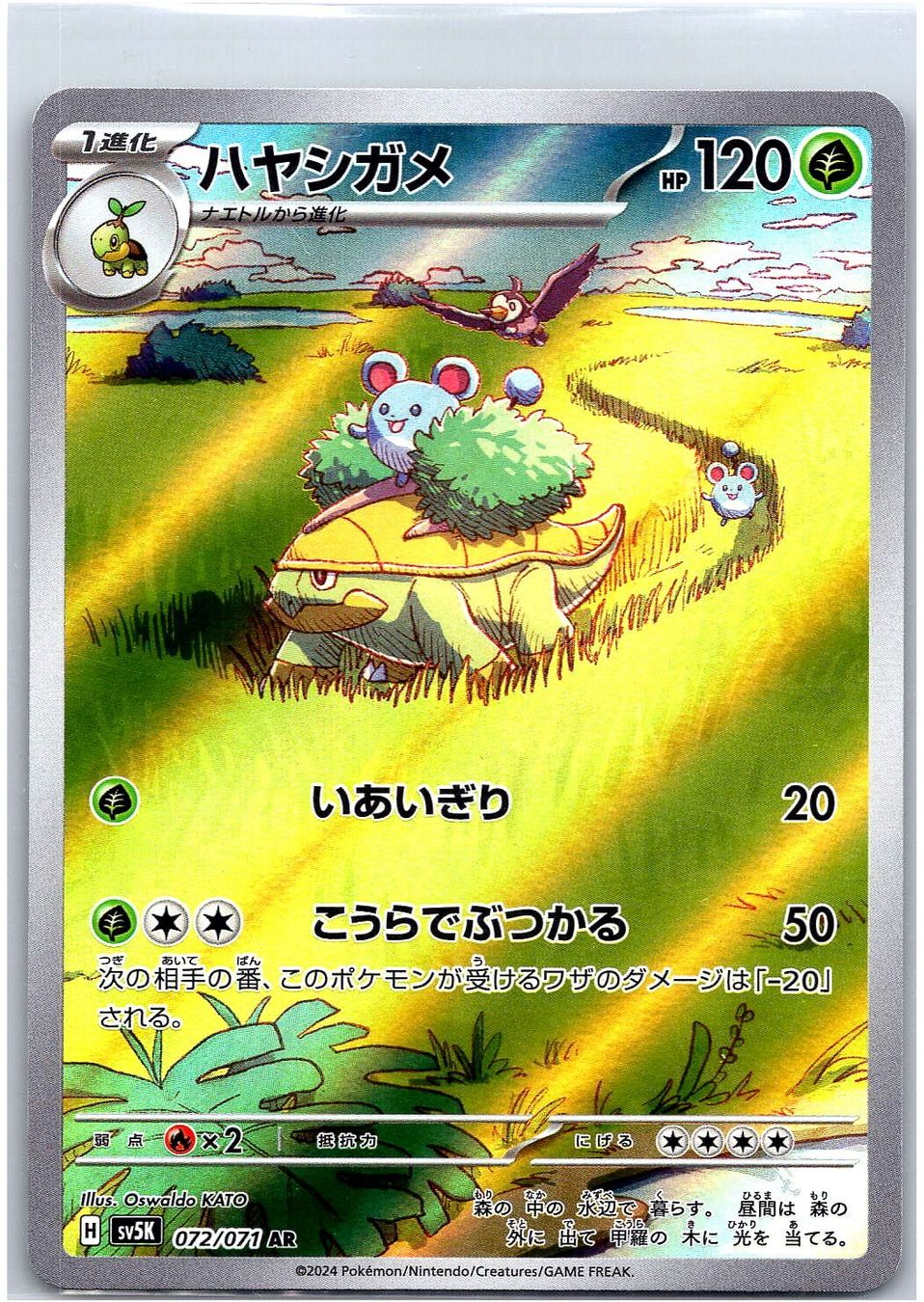 Pokémon Carte collezionabili: Pokémon Karte Grotle AR – Usato da Hendschiken venduto da TCG_Babey