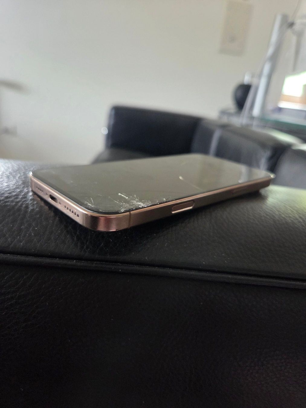 Apple Portables: Apple iPhone 16 Pro Max 256GB – Défectueux à Burgdorf par Moonwalker 3