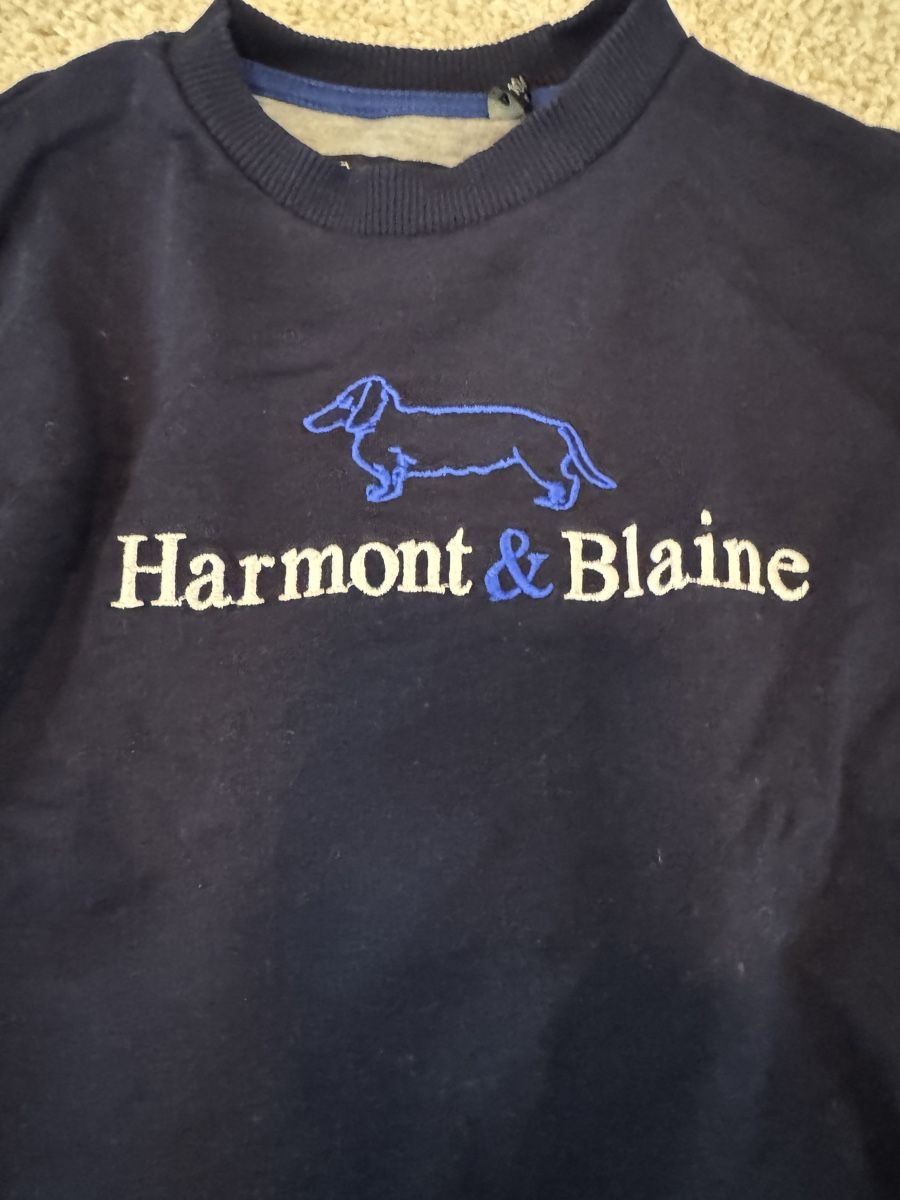 Maglioni & Felpe: Harmont&Blaine Pullover Gr. 104 mit Dackel, neuwertig! – Usato da Küsnacht ZH venduto da ToddyGinger 1