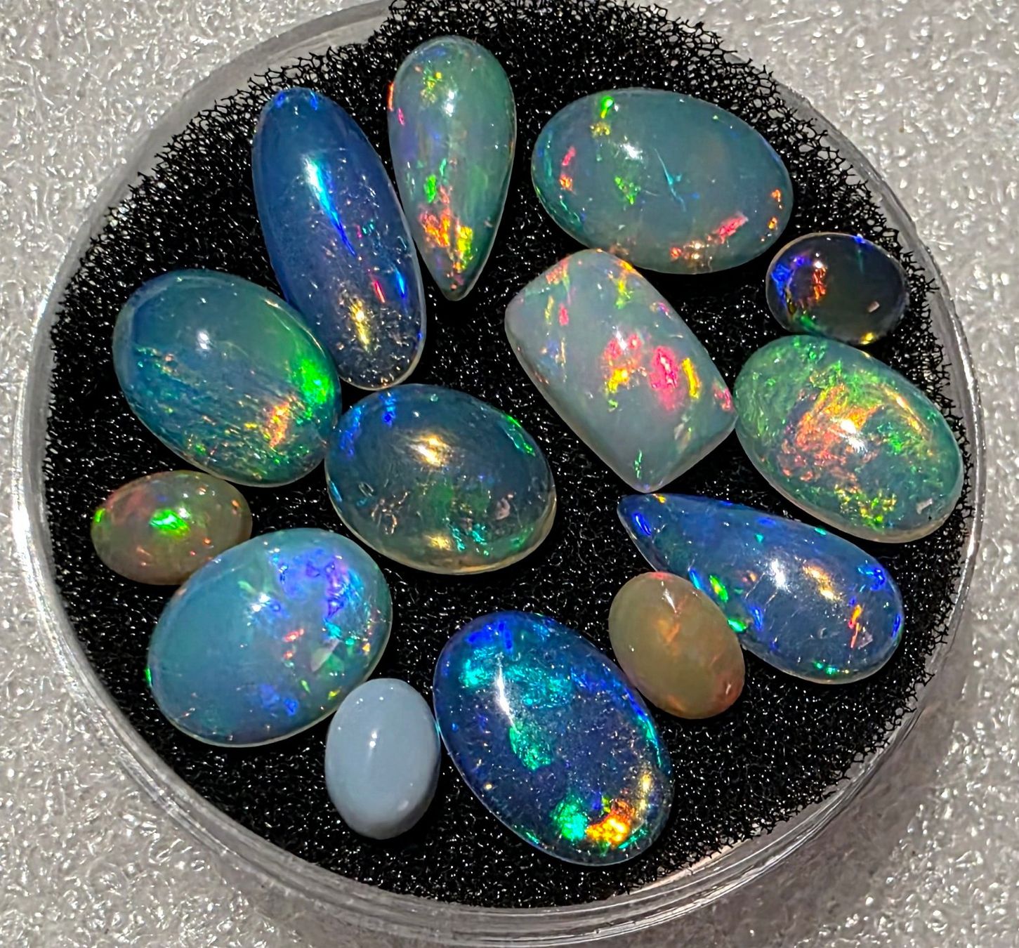 Fossili: 20.0 ct  Lot Welo Opal 14 pièces – Usato da Carouge GE venduto da Crystal_Energy