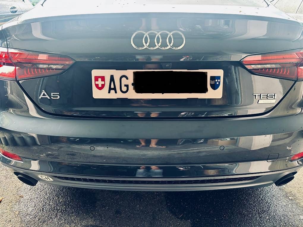 Tutti pezzi di ricambio auto: Nummernschild Halter – Usato da Veltheim AG venduto da ami_px7q 4