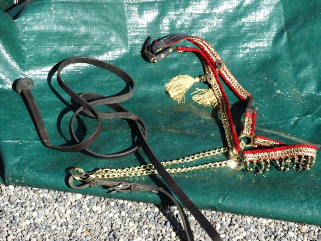 Briglie & Cavezze: wunderschönes Araber ShowHalfter verziertem Leder mit Seil – Usato da Grossaffoltern venduto da mulani 7