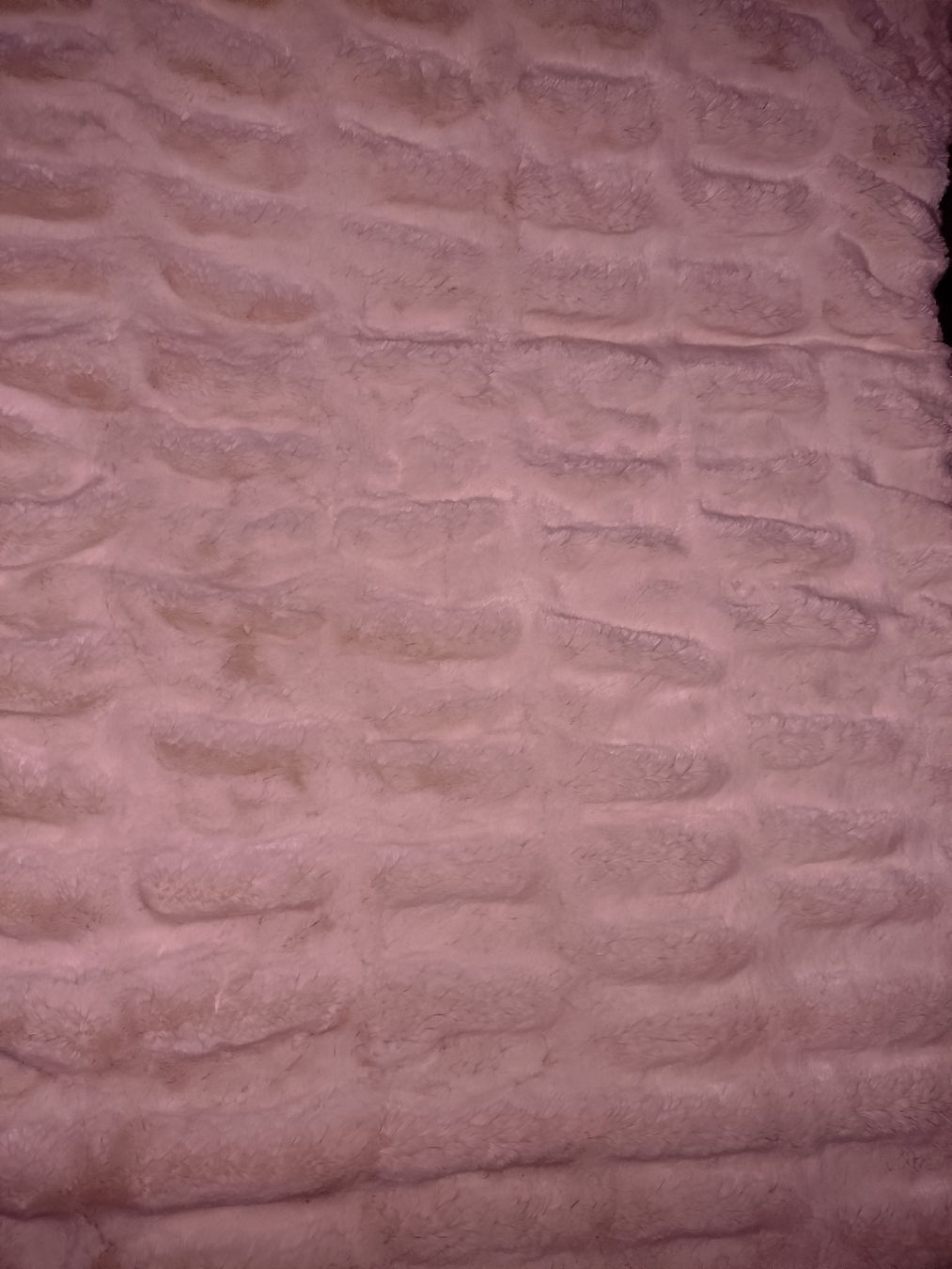 Coperte: Schöne Chinchilla Decke – Usato da Bremgarten AG venduto da irmscherastraH