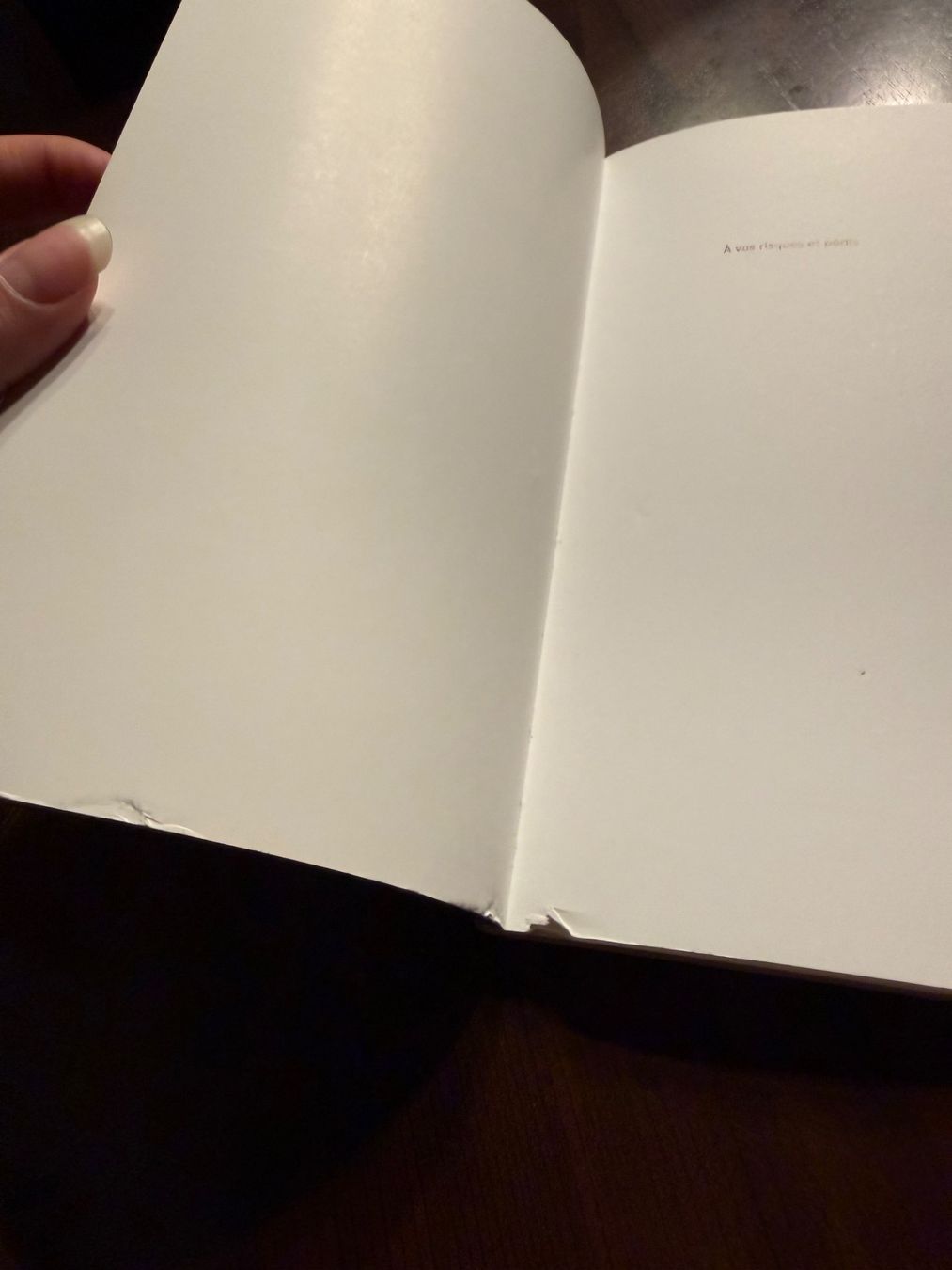 Libri: Buch A vos risques et périls Pascale Maret – Usato da Langenbruck venduto da caro_linej 2