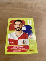 Panini CRO 7