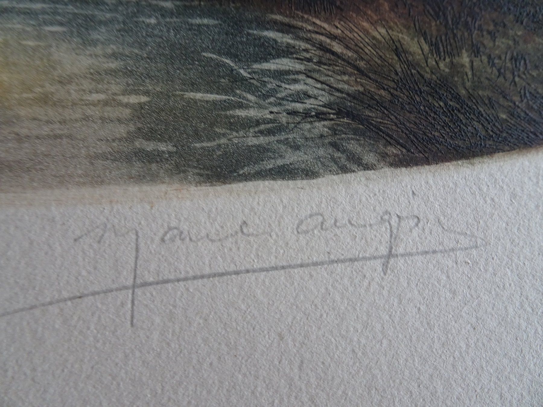Arts picturaux & lithographies: 2 alte signierte Litho-Bilder – D'occasion à Vitznau par Mina60 6