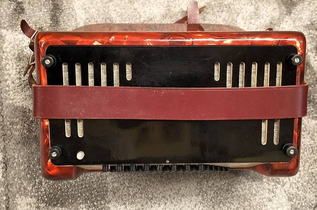 Strumenti musicali: Akkordeon Piccolo Hohner – Usato da Steinach venduto da Tsgweh 5