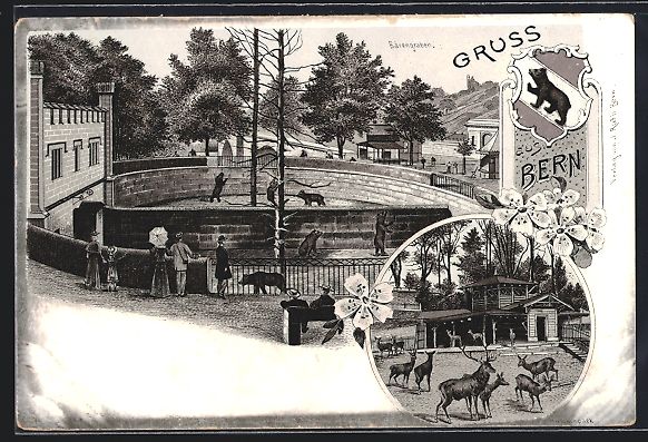 Cartoline postali: Litho Bern, Bärengraben, Hirschpark – Usato da Berlin venduto da bartko-reher