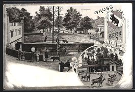 Litho Bern, Bärengraben, Hirschpark
