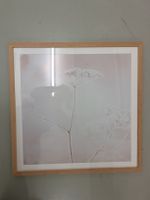 Naturbild Livique, Glas, Eichholzrahmen 60x60