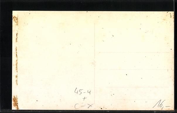 Cartoline postali: Rheinfelden, Aargauer Kant. Turnfest 193 – Usato da Berlin venduto da bartko-reher 1