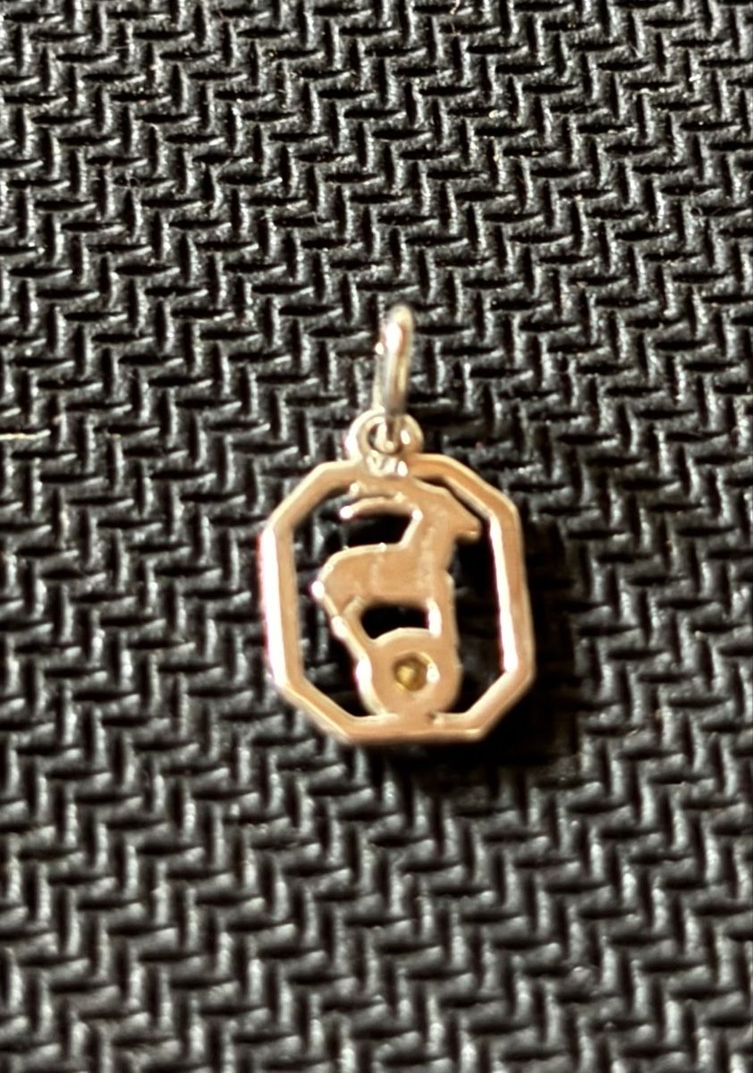 Ciondoli: Anhänger Steinbock Sternzeichen mit Stein 800 Silber neu – Nuovo e nell'imballaggio originale da Köniz venduto da Vamp-Wer 1