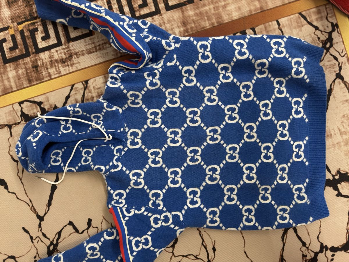 Maglioni & Felpe: Felpa Gucci – Usato da Fahrweid venduto da cic_tr62 2