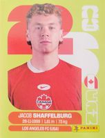 Panini FIFA World Cup CAN 14