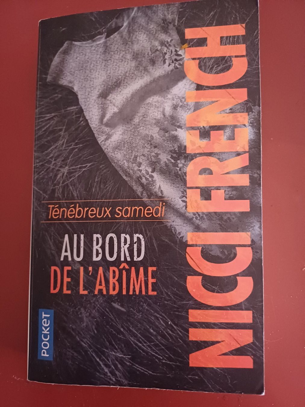 Libri: au bord de l'abîme – Usato da Porrentruy venduto da Piquetix