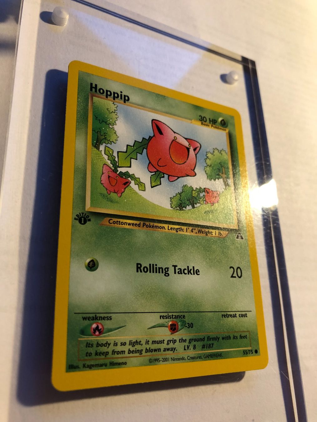 Sammelbilder & Trading cards: Hoppip 1st Neo Discovery - MINT - ab 1.- – Gebraucht aus Giubiasco von dan_pr8b 1